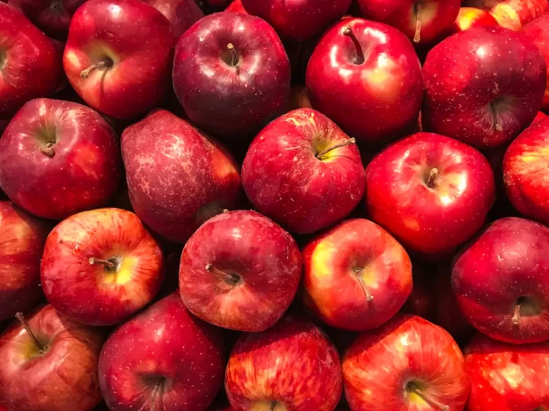 Врач-гастроэнтеролог рассказала, при каких заболеваниях ЖКТ противопоказаны яблоки