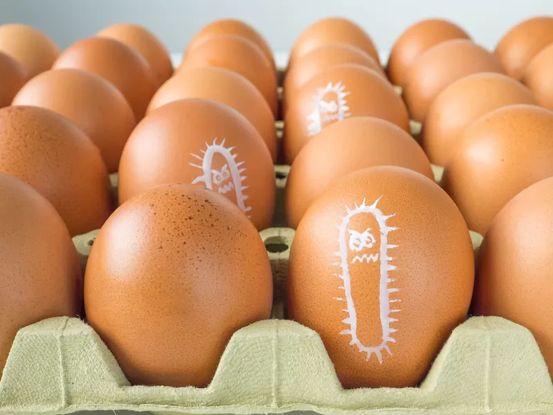Обычно бактерии попадают в организм с куриными яйцами <br/>Фото: shutterstock.com