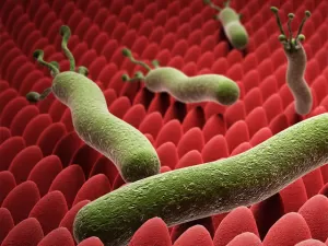 Гастрит поверхностный