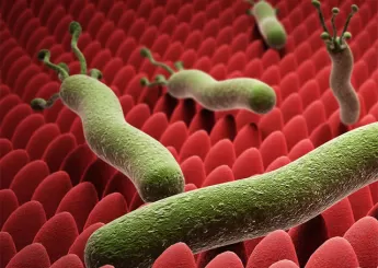 Гастрит поверхностный