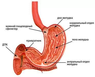 По лечению желудочно кишечного