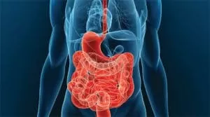 Основные синдромы при заболеваниях желудка и кишечника