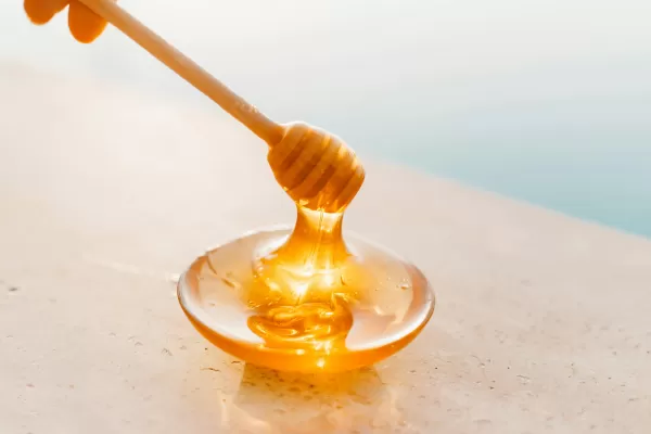 Можно ли мед при язве желудка?
